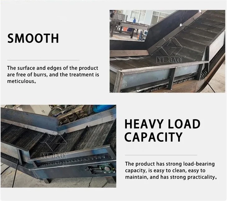 Chain Driven Conveyor